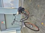 Elektrischefiets, Fietsen en Brommers, Fietsen | Tandems, Ophalen of Verzenden, Zo goed als nieuw, Minder dan 10 versnellingen