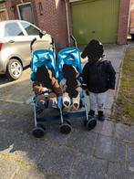 Koelstra Tweelingbuggy - Ideaal voor 2!, Kinderen en Baby's, Ophalen