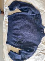 Fabienne chapot trui XL, Kleding | Dames, Truien en Vesten, Ophalen of Verzenden, Zo goed als nieuw, Maat 42/44 (L), Blauw