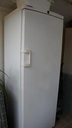 Diepvries Liebherr 8 laden, Ophalen, Gebruikt, 160 cm of meer, Vrijstaand