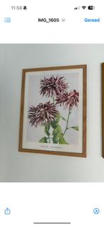 Poster Ogawa Kazumada | in eiken lijst | 30x40, Ophalen of Verzenden, Zo goed als nieuw, Minder dan 50 cm