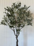 Grote Levensechte Kunst Olijfboom 200cm  (kunstboom), Ophalen, Nieuw, Binnen