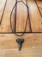 Ketting met een fossiele haaientand voorouder witte haai, Verzamelen, Mineralen en Fossielen, Verzenden, Mineraal