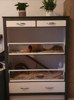 Cavia hok/huis, Ophalen, 90 cm of meer, Hok, Cavia