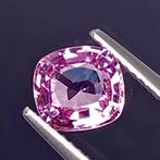 Edelsteen Spinel 1,61ct, Ophalen of Verzenden, Nieuw