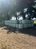 midibalen hooi, Dieren en Toebehoren, Dierenvoeding, Ophalen