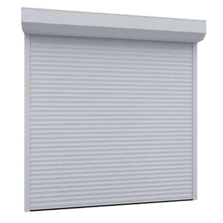 Garagedeur isolatie op Maat Rolpoort Rolluik Poort met motor, Doe-het-zelf en Verbouw, Deuren en Horren, Nieuw, Garagedeur, 215 cm of meer