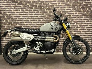 Triumph SCRAMBLER 1200 XE (bj 2024) beschikbaar voor biedingen