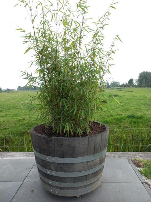 Eikenhouten Plantenbak Bloembak Wijnvat Minivijver 150L, Tuin en Terras, Bloembakken en Plantenbakken, Nieuw, Hout, Balkon, Tuin