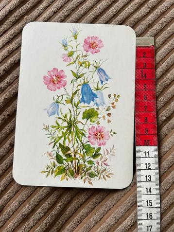 1960. Oude kaart Veld bloemen illustr beschikbaar voor biedingen