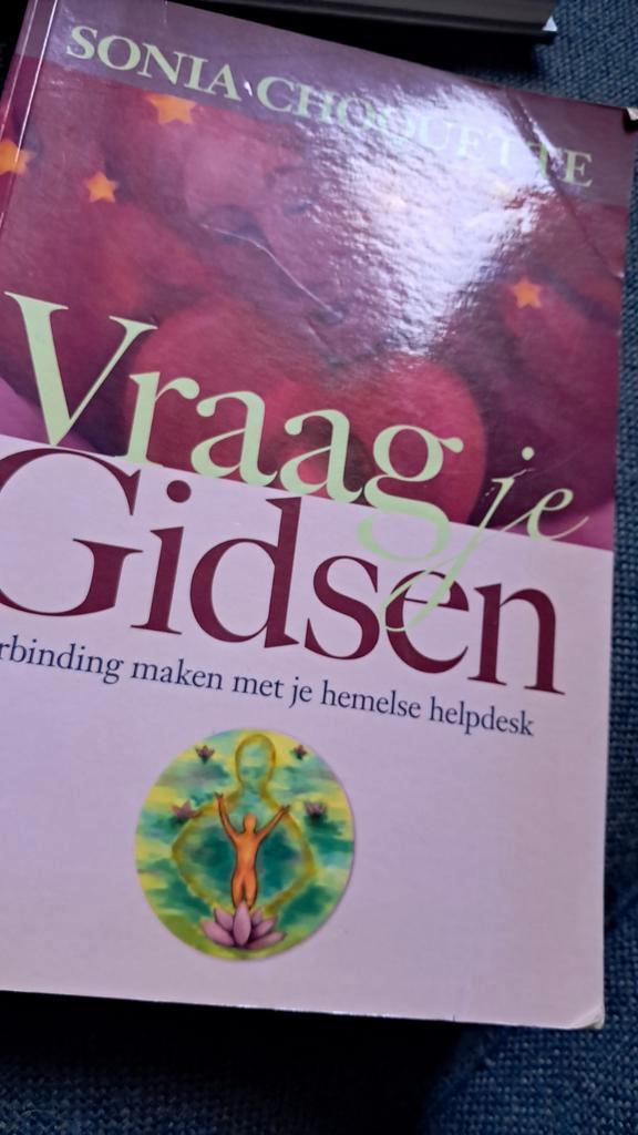 Vraag je Gidsen - Sonia Choquette, Boeken, Esoterie en Spiritualiteit, Zo goed als nieuw, Achtergrond en Informatie, Spiritualiteit algemeen