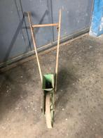 thilot, Ophalen, Gehele jaar, Halfschaduw, Zaad