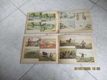 Zon en Leven   Willem Wiltschut beschikbaar voor biedingen