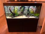 Juwel Rio 240 aquarium 120cm met vissen en onderkast, Dieren en Toebehoren, Vissen | Aquaria en Toebehoren, Ophalen, Gebruikt