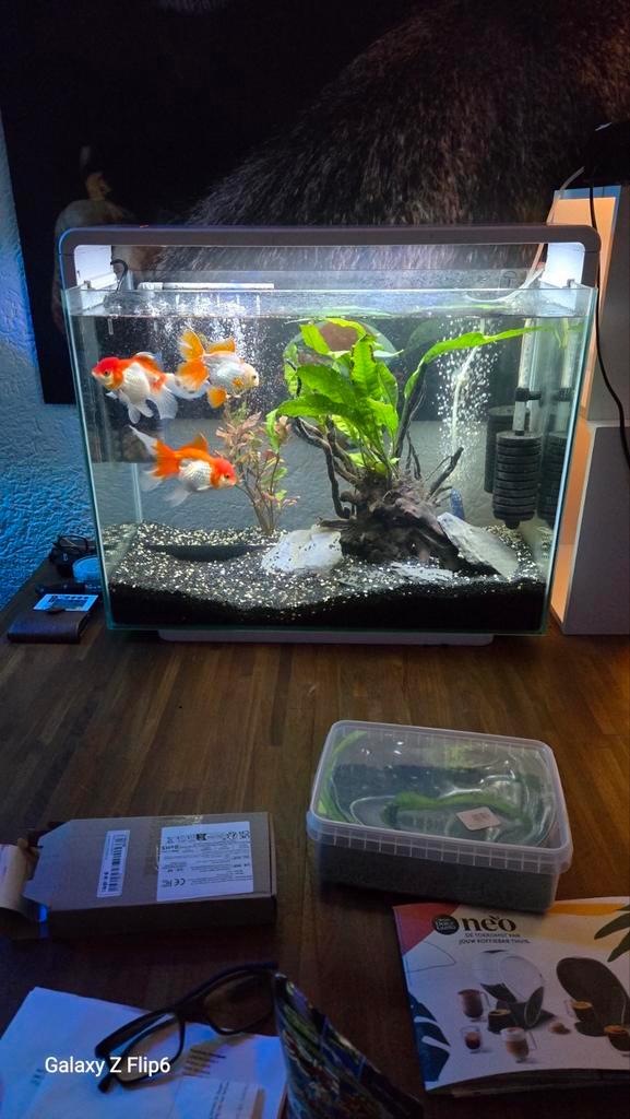 Te koop superfish home 80, Dieren en Toebehoren, Vissen | Aquaria en Toebehoren, Gebruikt, Verlichting of Verwarming, Ophalen