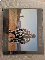 Pink Floyd Delicate Sound of Thunder 2 cd, Ophalen of Verzenden, Zo goed als nieuw, Overige typen