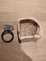 Exo Terra voeding bakje en ring, Ophalen of Verzenden, Gebruikt, Overige typen