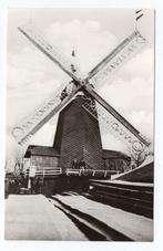 WESTZAAN - ZUID - Molen - K. Tanger - Reproductie, Verzenden, Ongelopen, Noord-Holland