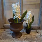 Kunst Hyacint in Pot - 23cm, Binnen, Onbekend, Nieuw, Ophalen of Verzenden