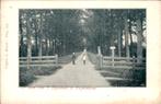 Diepenheim - De Laan Van 't Nijenhuis, Ophalen of Verzenden, Voor 1920, Ongelopen, Overijssel