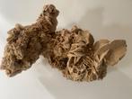 mineralen woestijnroos XXL Sahara, Verzamelen, Mineralen en Fossielen, Ophalen, Mineraal