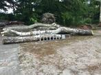 haardhout, Tuin en Terras, Ophalen