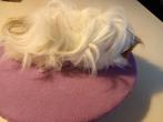 Cavia zeugje 3 maanden. Kruising tussen Peruvian en lunkarya, Cavia, Vrouwelijk, Mei, Tam