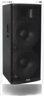 2 x Park Audio dubbel 15 inch speaker 1000 watt nieuw., Audio, Tv en Foto, Luidsprekers, Overige merken, Overige typen, Nieuw