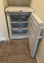 Liebherr Nofrost tafelmodel vriezer A++, Ophalen, Zo goed als nieuw, Minder dan 60 cm