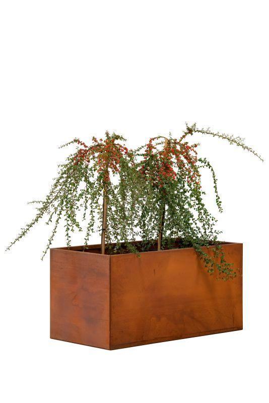 Plantenbak cortenstaal, Tuin en Terras, Bloembakken en Plantenbakken, Nieuw, Metaal, Tuin, 60 cm of meer, 100 cm of meer, Vierkant