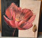 Mooi klaproos schilderij, Ophalen