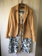 Nieuwe jurk en blazer van Expresso, maat 40., Ophalen of Verzenden, Nieuw, Maat 38/40 (M)