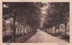 AY211 Raalte Amelosestraat ca. 1925, Verzenden, 1920 tot 1940, Gelopen, Overijssel