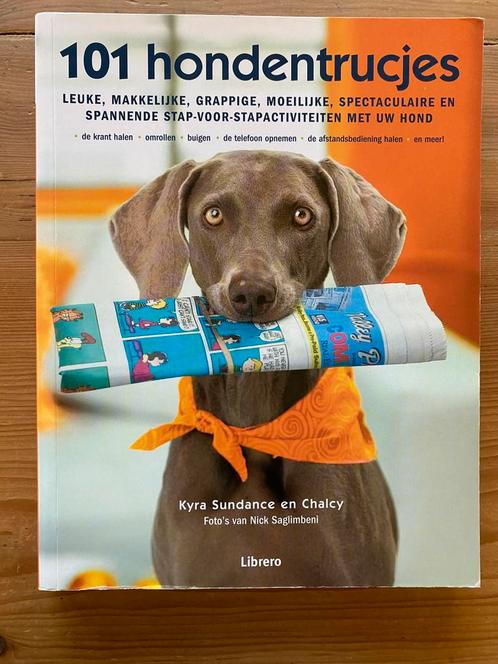 101 hondentrucjes - Kyra Sundance, Boeken, Dieren en Huisdieren, Gelezen, Honden, Ophalen of Verzenden