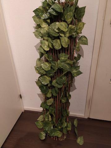 Kunsthaag met Klimop beschikbaar voor biedingen