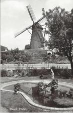 Weert (L.) Molen, Verzenden, 1940 tot 1960, Ongelopen, Limburg