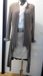 Leuk lang vest met shawlkraag mt 40 taupe, Ophalen of Verzenden, Zo goed als nieuw, Maat 38/40 (M), Bruin