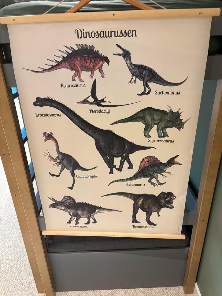 Dino Poster - Leuke Kamer Decoratie!, Kinderen en Baby's, Kinderkamer | Inrichting en Decoratie, Zo goed als nieuw, Wanddecoratie