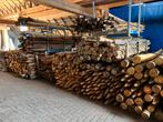 Boompalen Kastanjehout afrasteringspalen schutting, Tuin en Terras, Palen, Balken en Planken, Ophalen of Verzenden, Nieuw, Palen