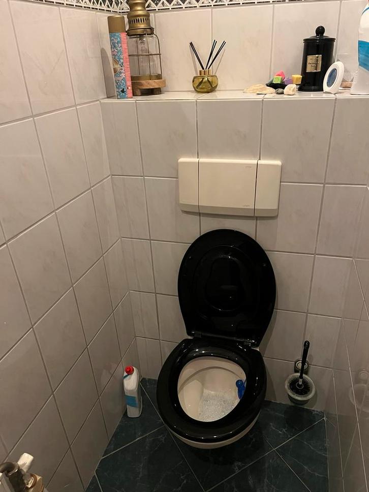 Geberit Hangtoilet Compleet met Inbouwreservoir, Doe-het-zelf en Verbouw, Sanitair, Gebruikt, Toilet, Ophalen of Verzenden