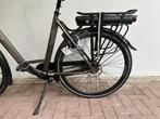 Stella Livorno Dames dark grey 58cm 2022, 56 cm of meer, Gebruikt, Overige merken