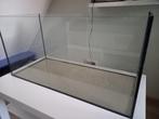 Glazen hamsterhok/ terrarium, Dieren en Toebehoren, Knaagdieren en Konijnen | Hokken en Kooien, Gebruikt, Hamster, Hok, 75 tot 110 cm
