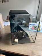 Superfish Qubiq 30 Pro, Dieren en Toebehoren, Vissen | Aquaria en Toebehoren, Ophalen, Leeg aquarium