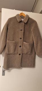 Zara teddy jas, Bruin, Zara, Nieuw, Ophalen of Verzenden