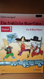 Die fröliche Querflöte, Ophalen of Verzenden, Gebruikt, Les of Cursus