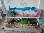 Draadkubus -  C&C cage  caviakooi konijnenhok, Dieren en Toebehoren, 110 cm of meer, Zo goed als nieuw, Hok, Ophalen