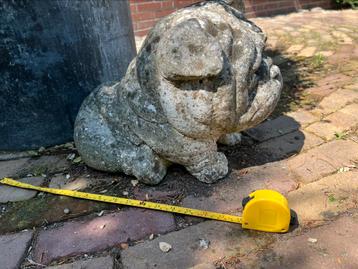 Betonnen buldog beschikbaar voor biedingen