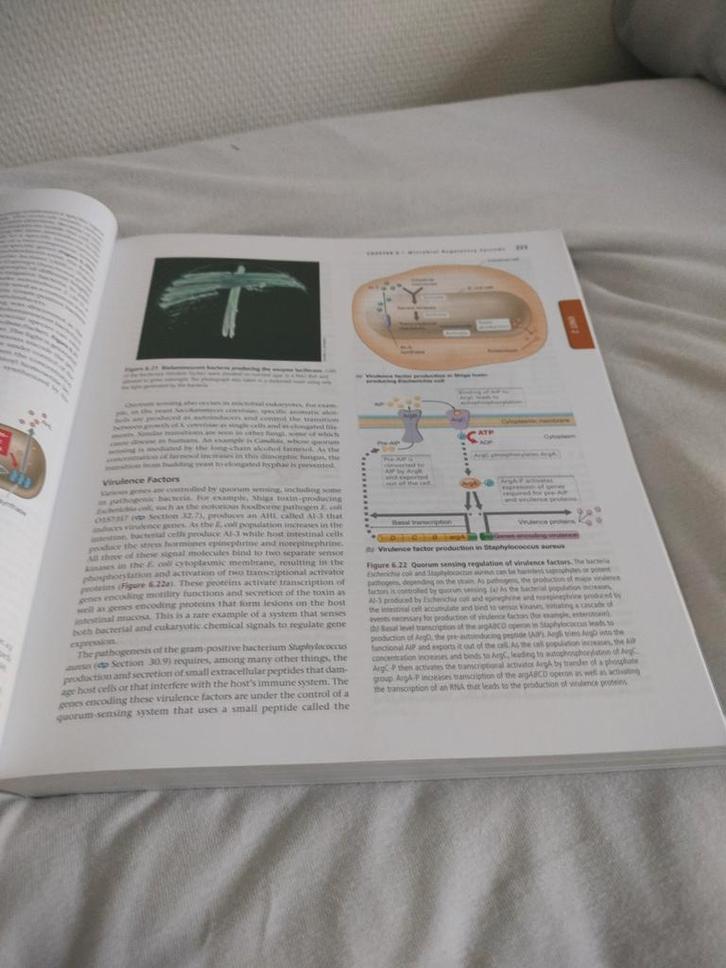 Brock Biology of Microorganisms - Microbiologie Handboek, Boeken, Techniek, Gelezen, Overige onderwerpen, Ophalen of Verzenden