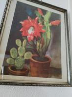Vintage botanische cactus prent in lijst, Antiek en Kunst, Ophalen of Verzenden