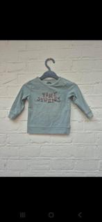 Z8 Shirt Maat 62, Jongetje of Meisje, Z8, Ophalen of Verzenden, Zo goed als nieuw